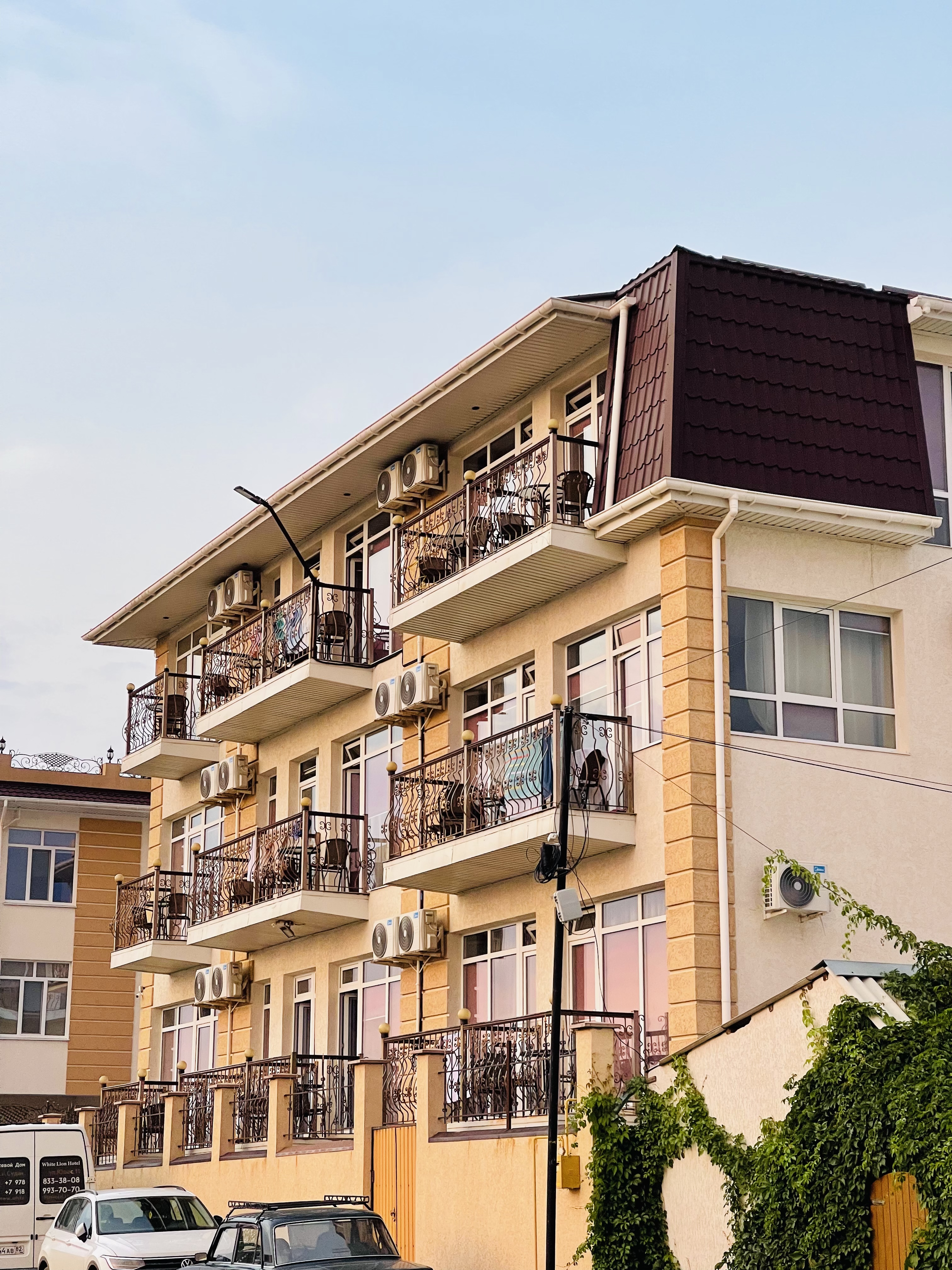 Фото Белый лев