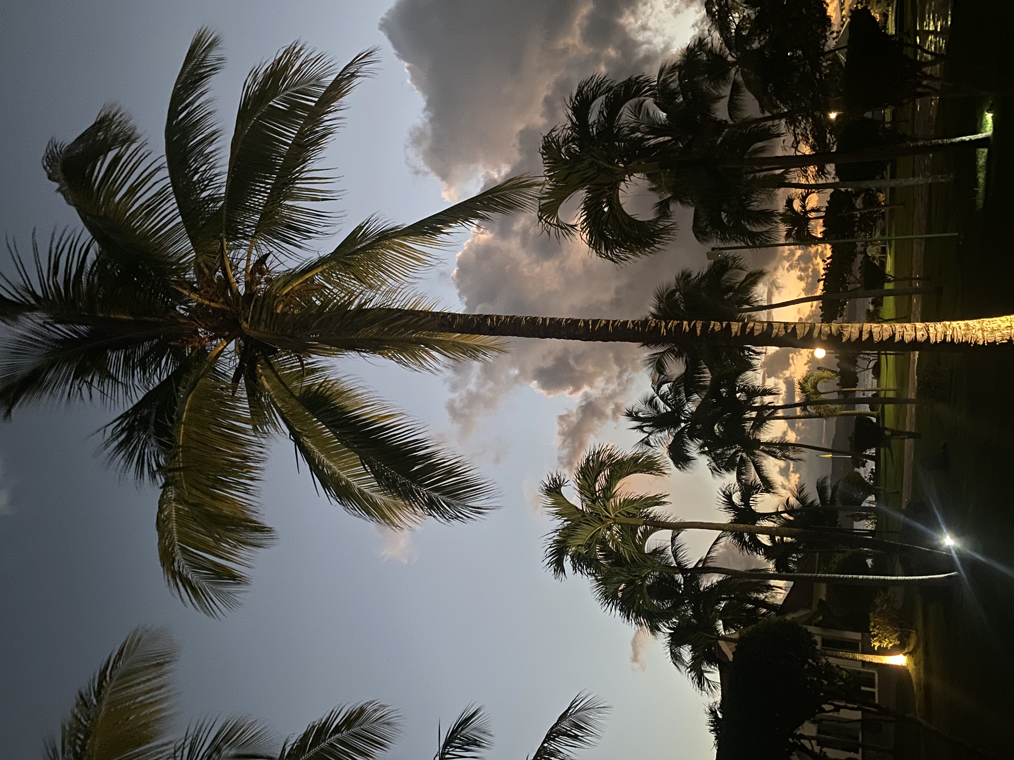 Фото Casa Marina Beach & Reef All Inclusive