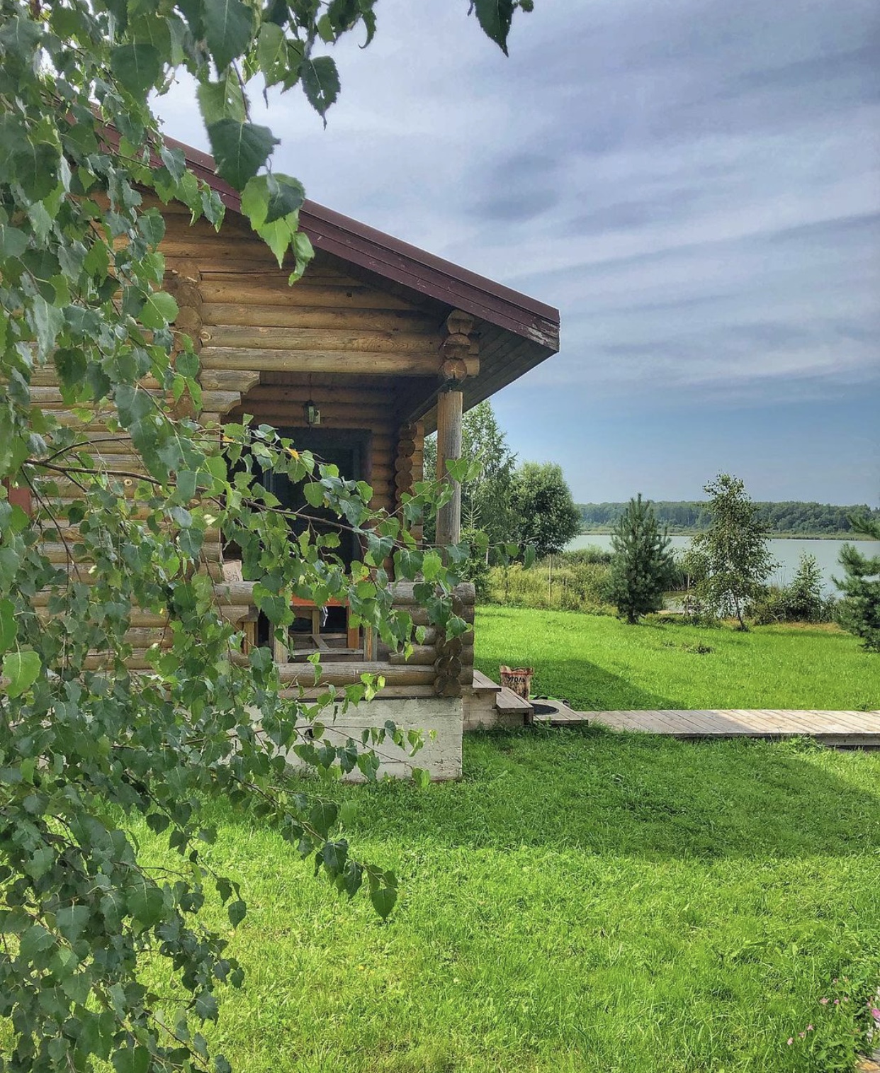 Фото Белая цапля