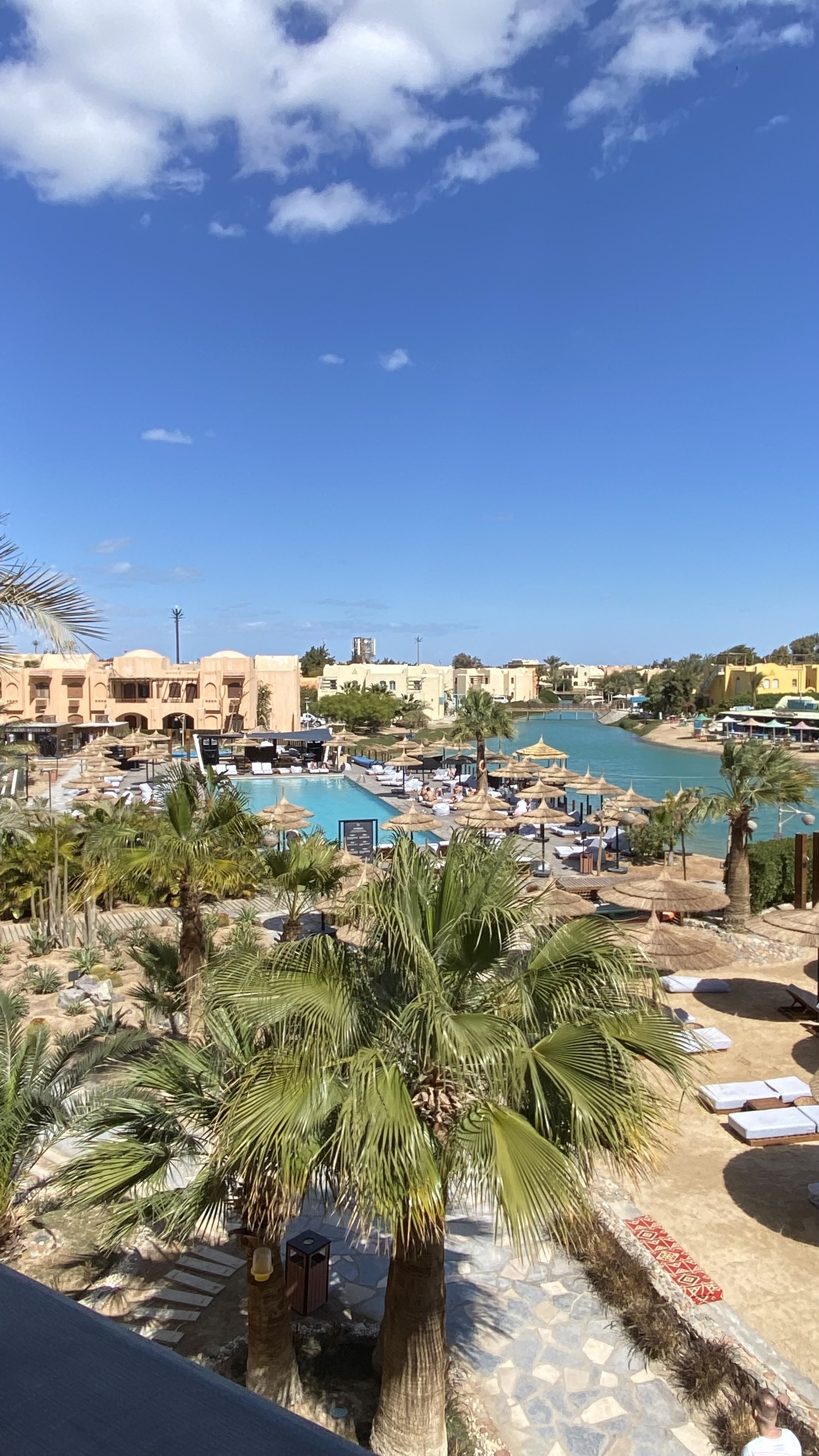 Фото Cook's Club El Gouna