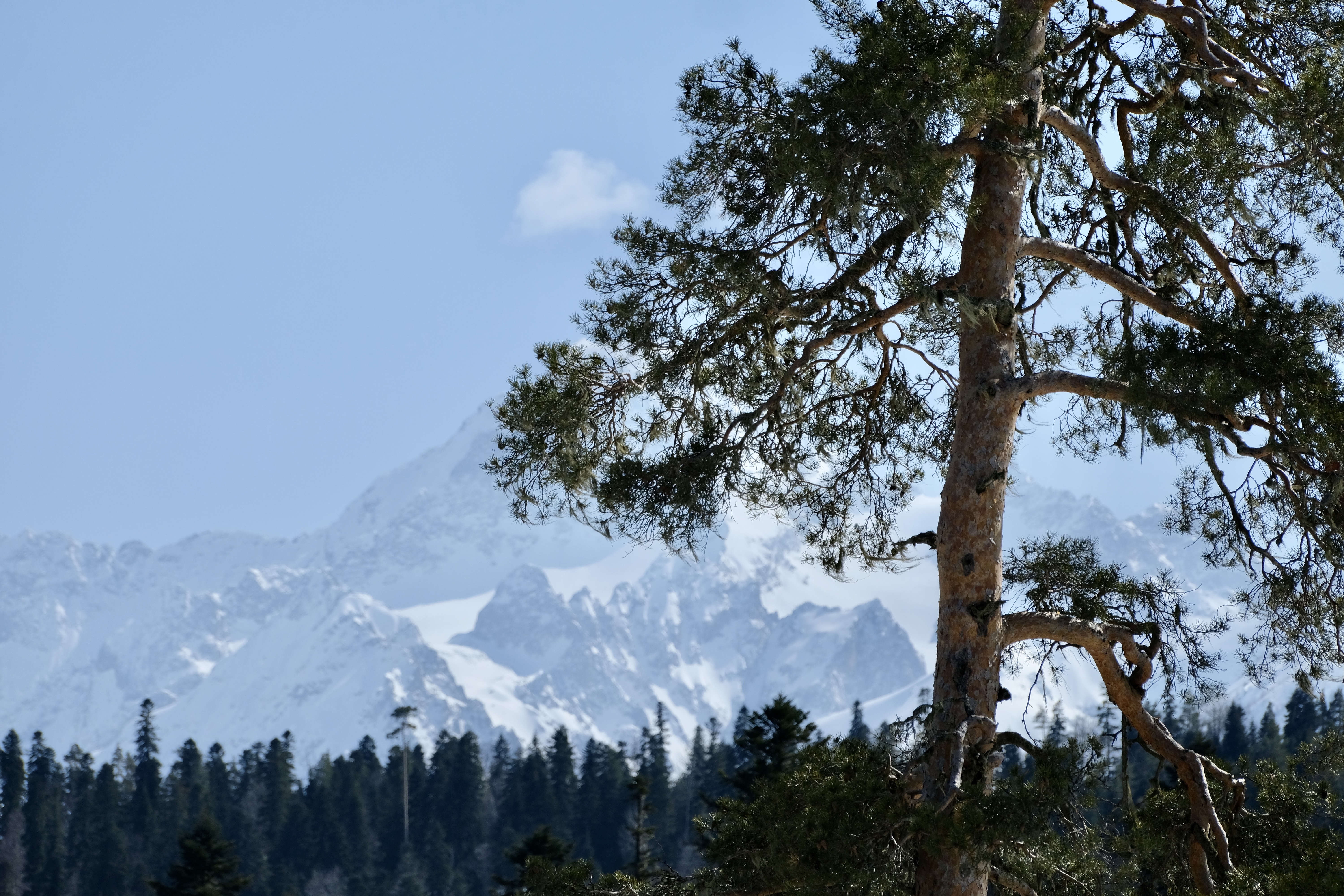 Фото Korona Архыз