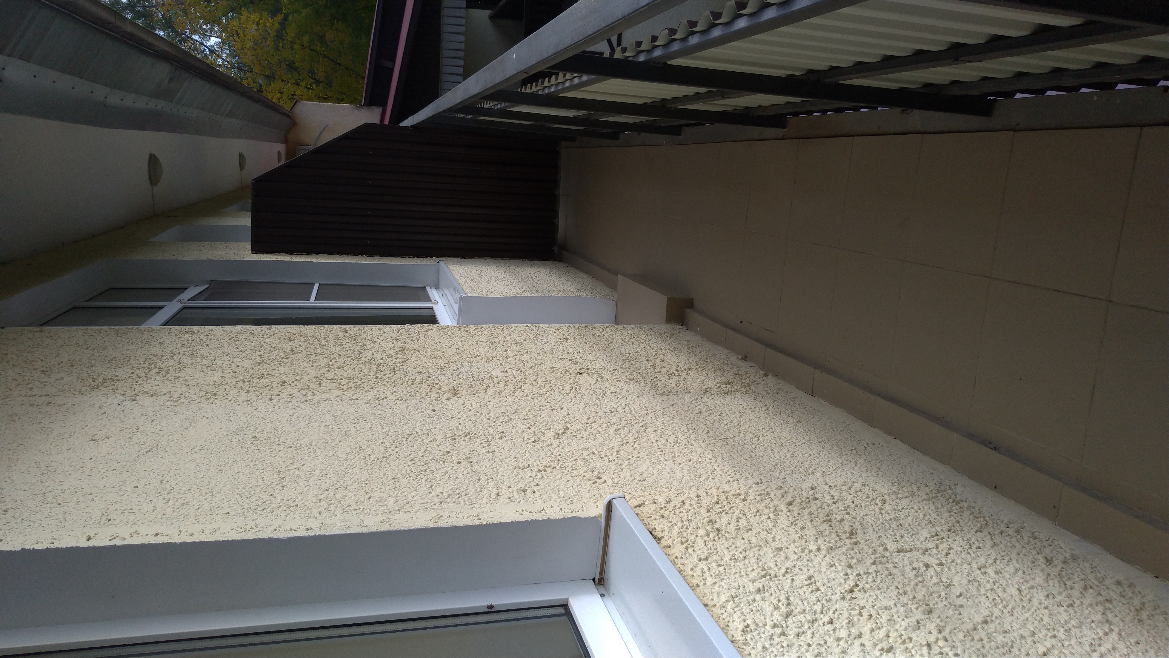 Фото Светлый