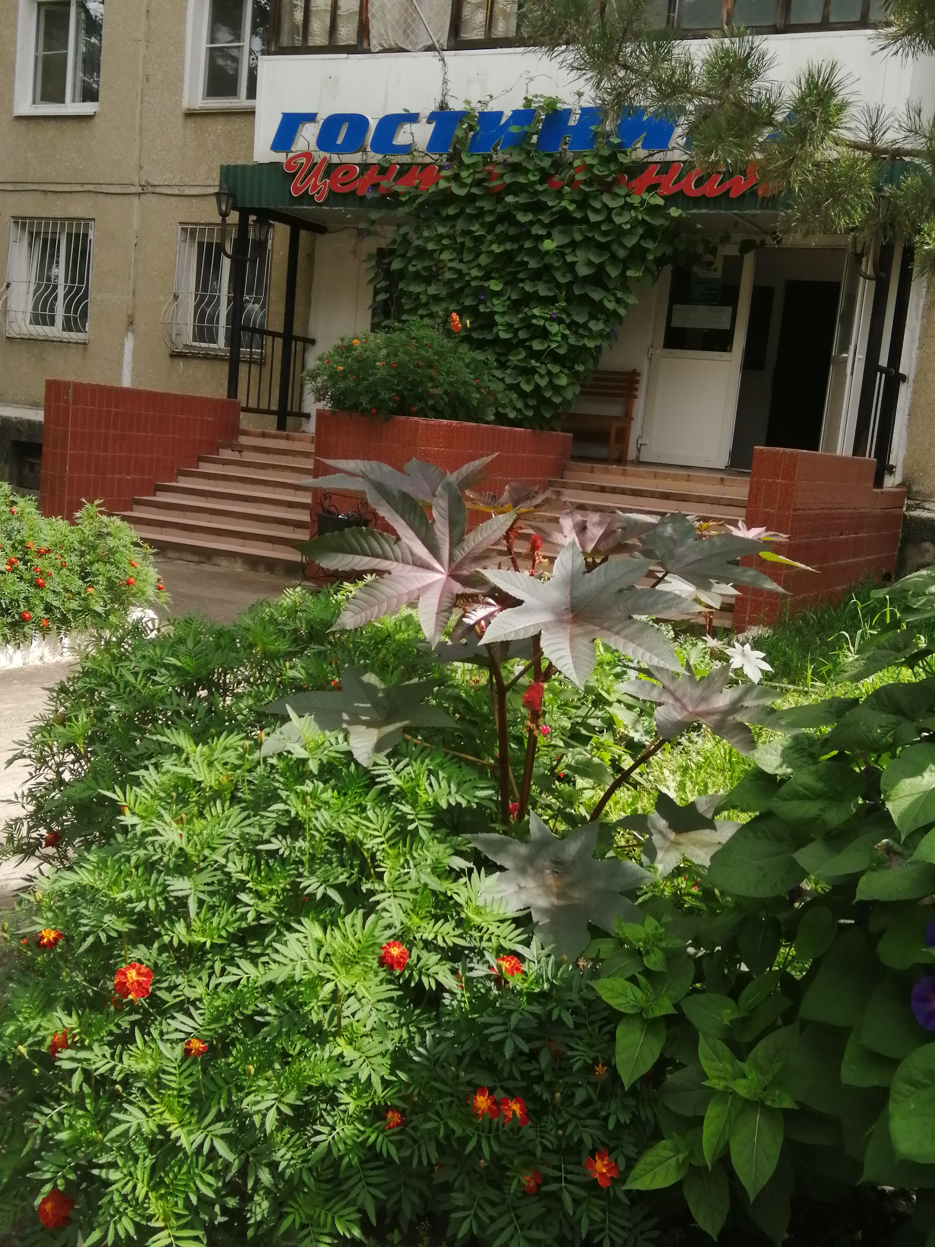 Фото отеля 2