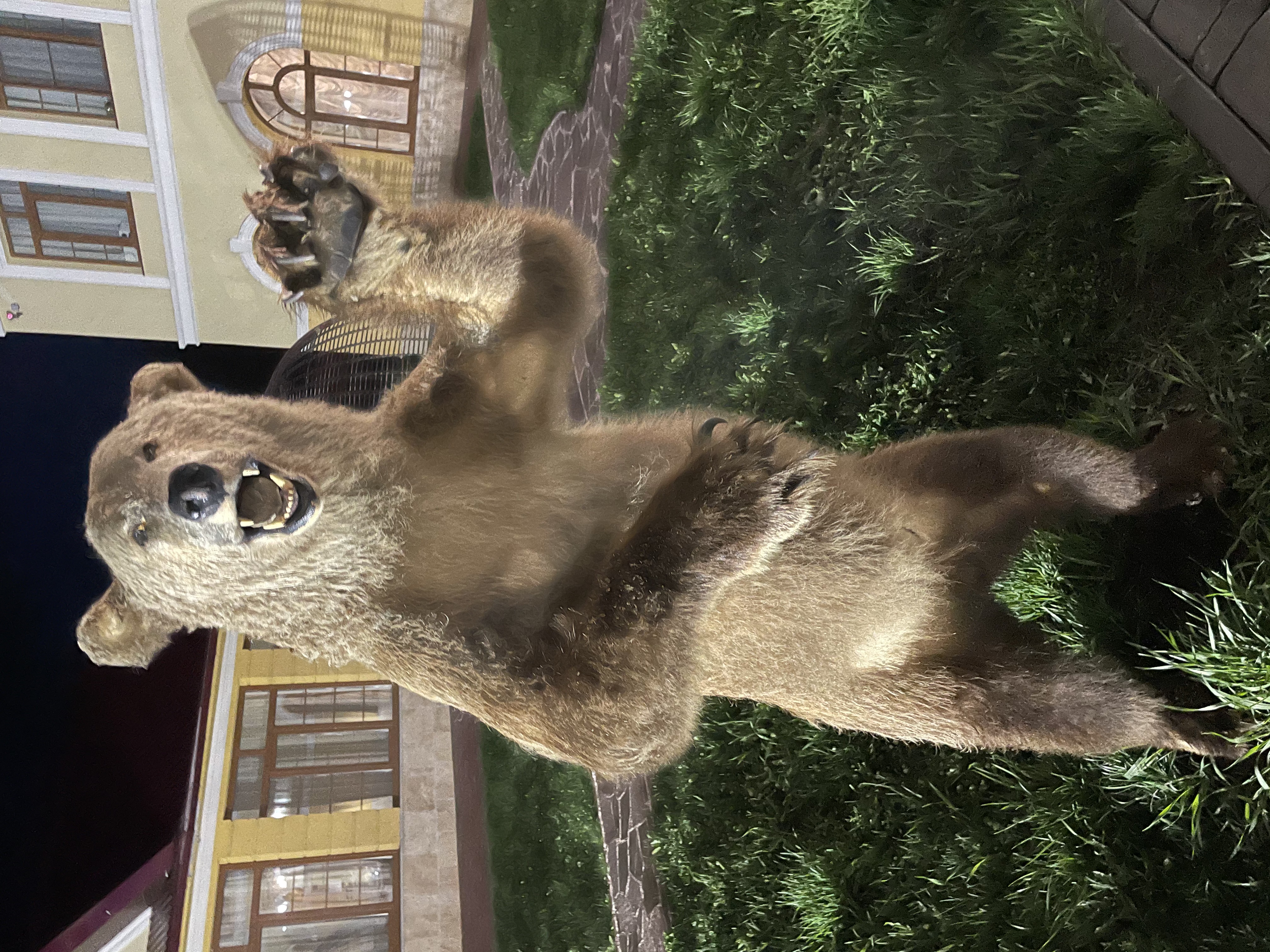 Фото Усадьба Нерса