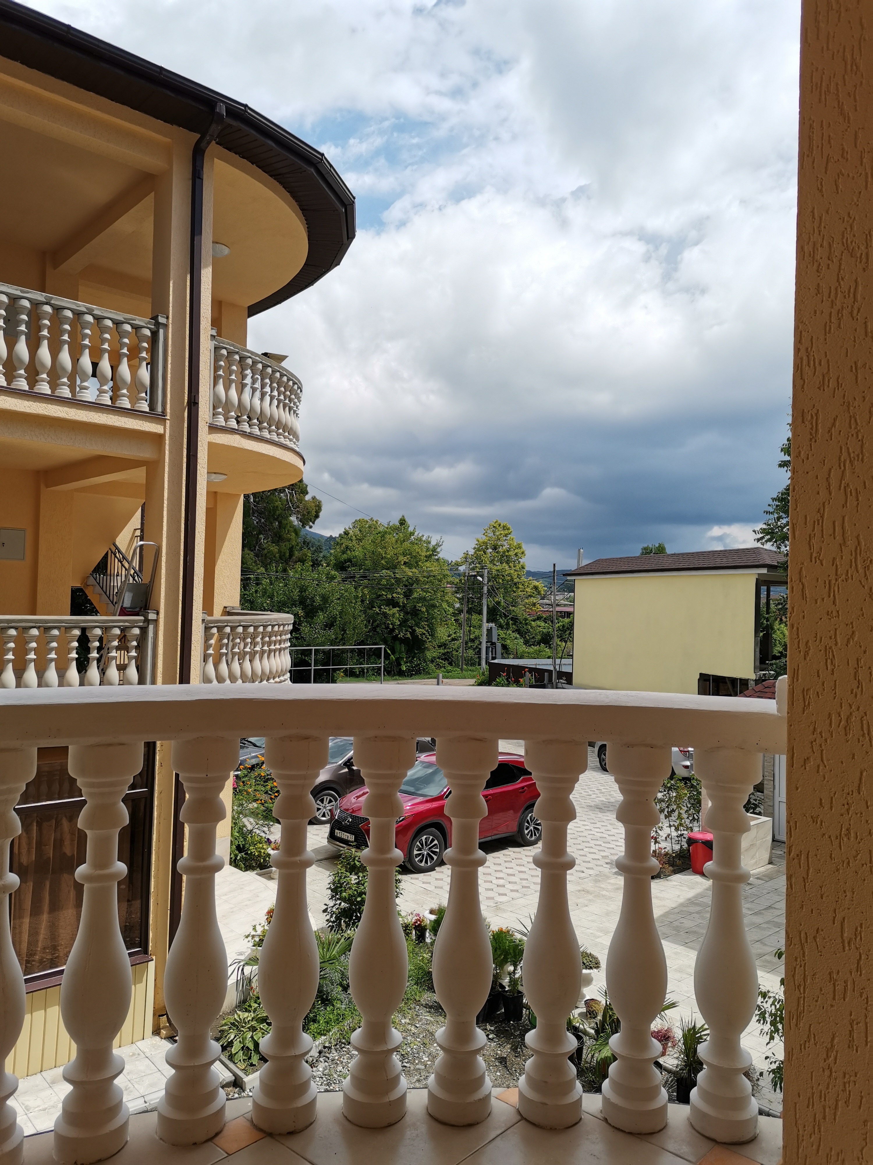 Фото Лаванда