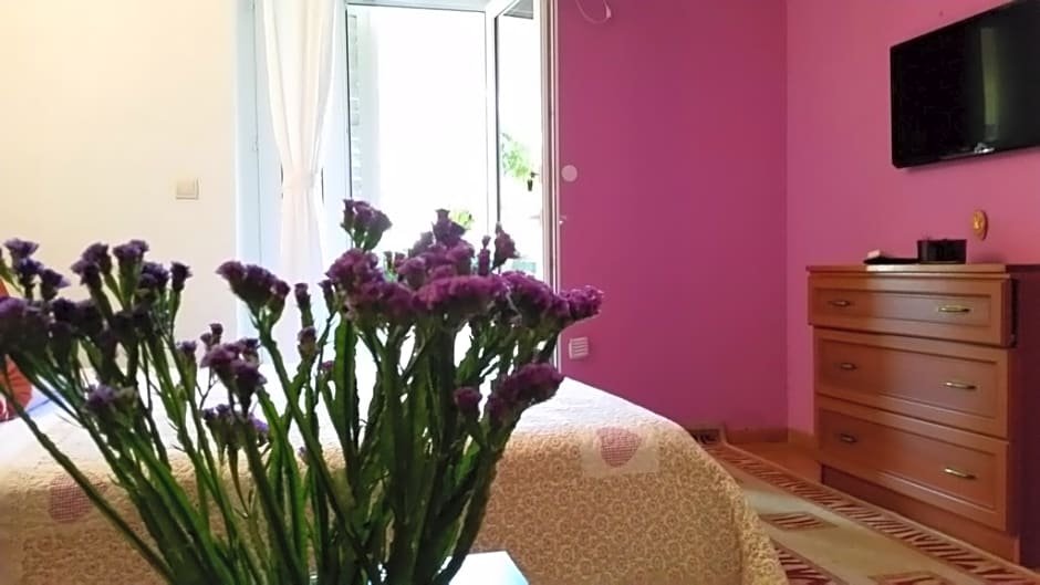 Фото Guest House Amalija