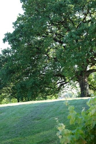 Фото Le Manoir Saint Clair