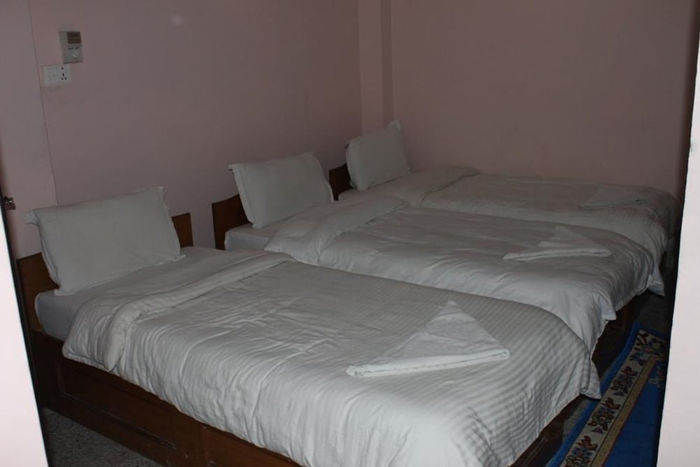 Фото Festoon Hotel