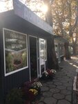 Дом, сад, огород (улица Ленина, 46Д), gardening shop