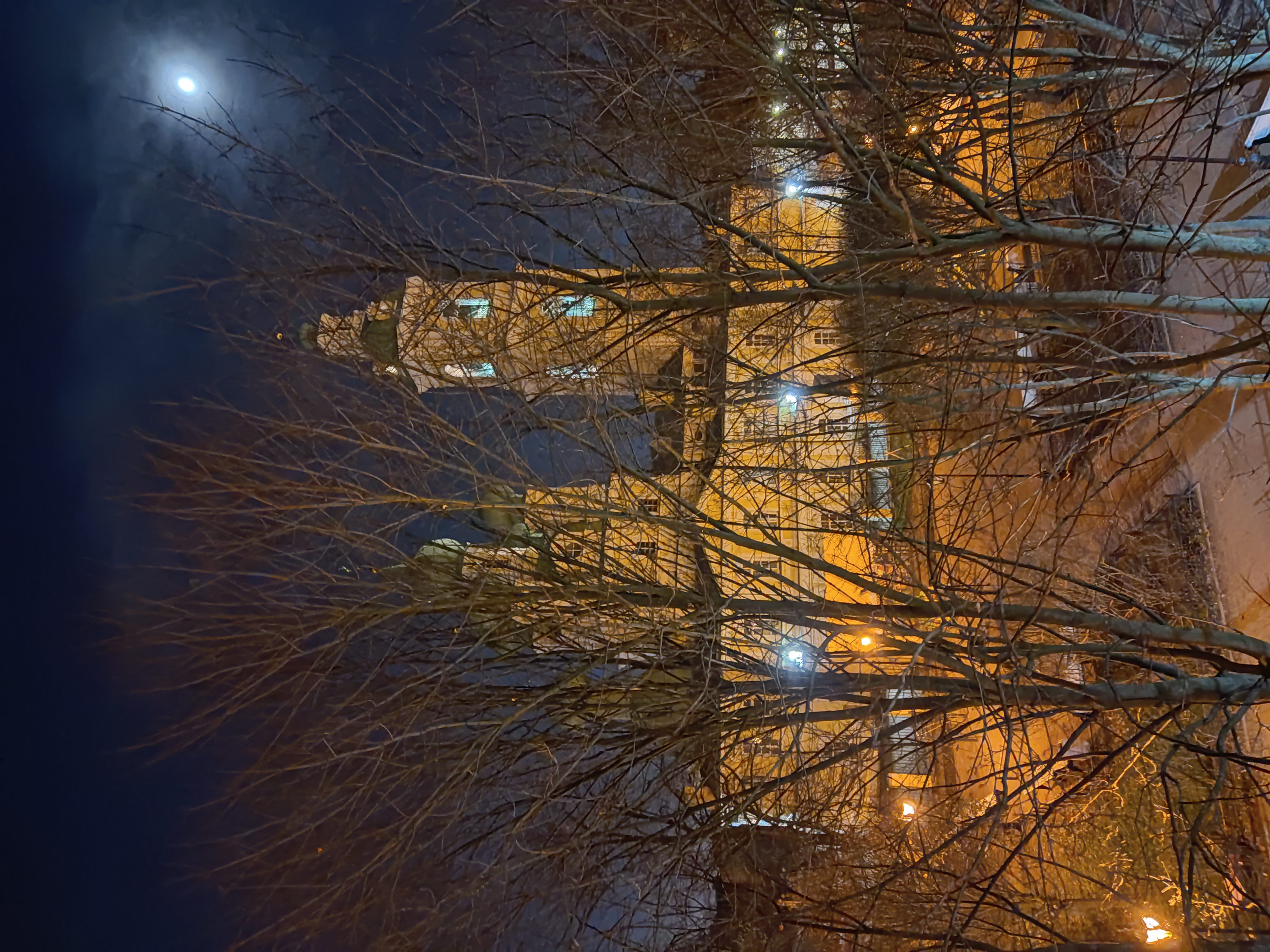 Фото Риволи