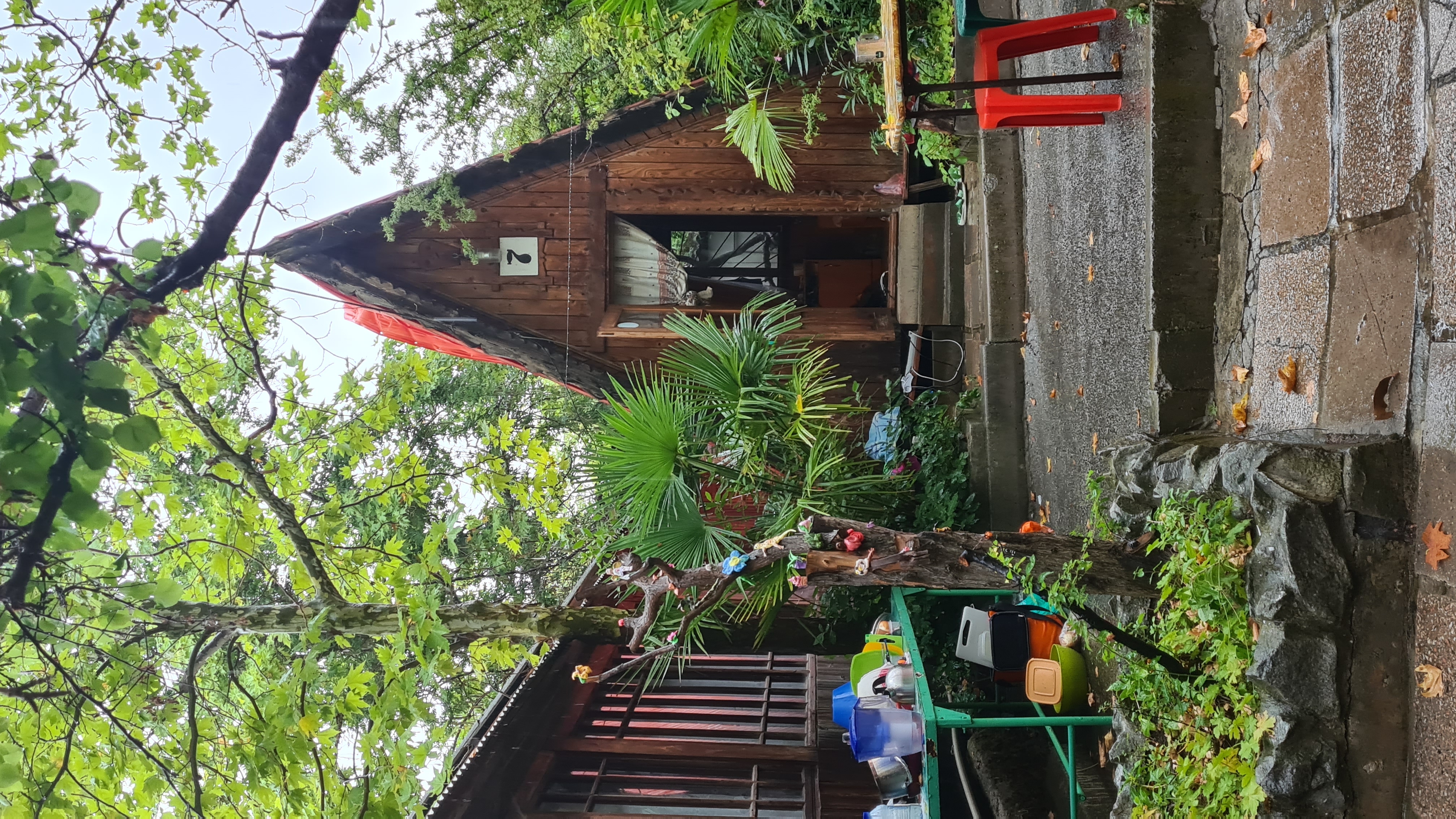 Фото Солнечное Море