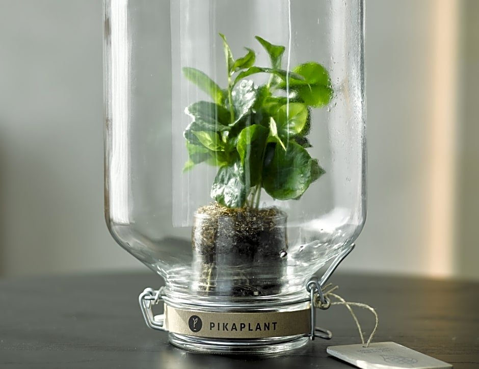 Фото Qo Amsterdam