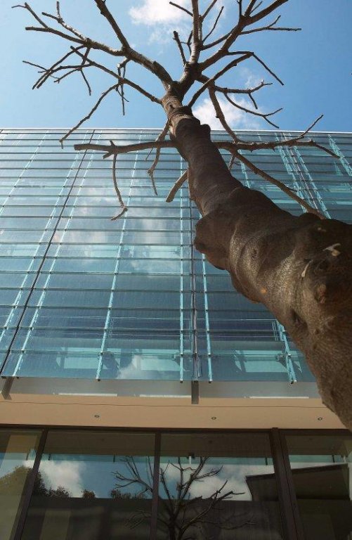 Фото Life Gallery Athens