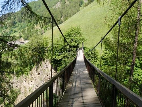 Фото Apartment Hotel Elvis