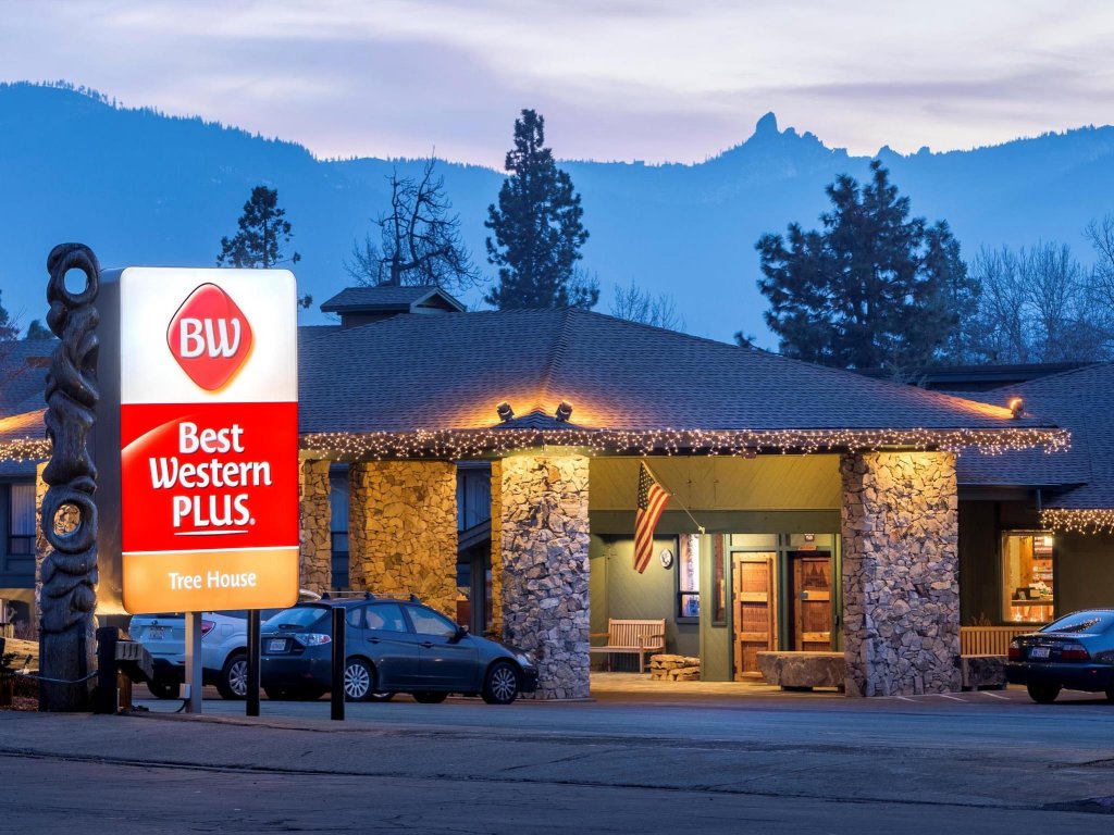 Фото Best Western Plus Tree House