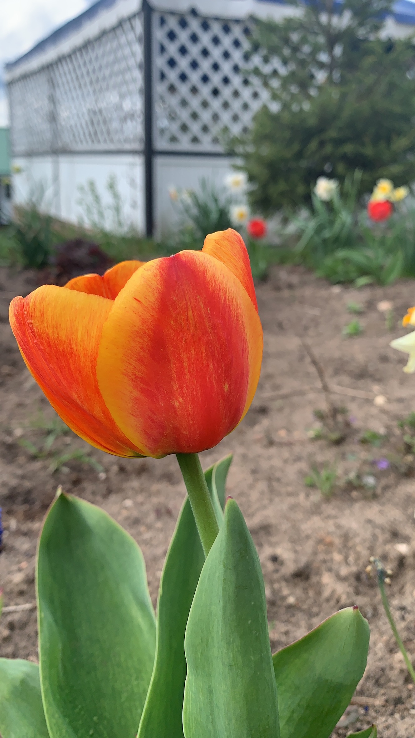 Фото Спутник Inn