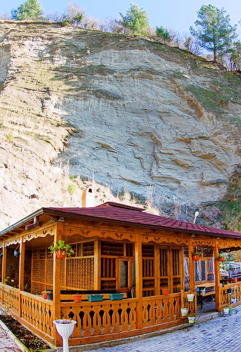 Фото Арбика