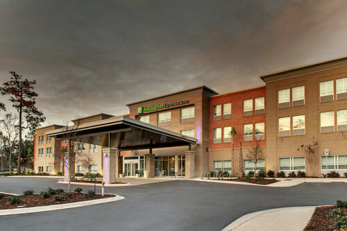 Гостиница Holiday Inn Express & Suites Charleston Ne Mt Pleasant Us17, an Ihg Hotel в Маунт Плезант