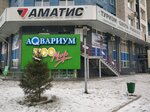 Amatis (Aviatorov Street, 41), artículos para recreación y turismo