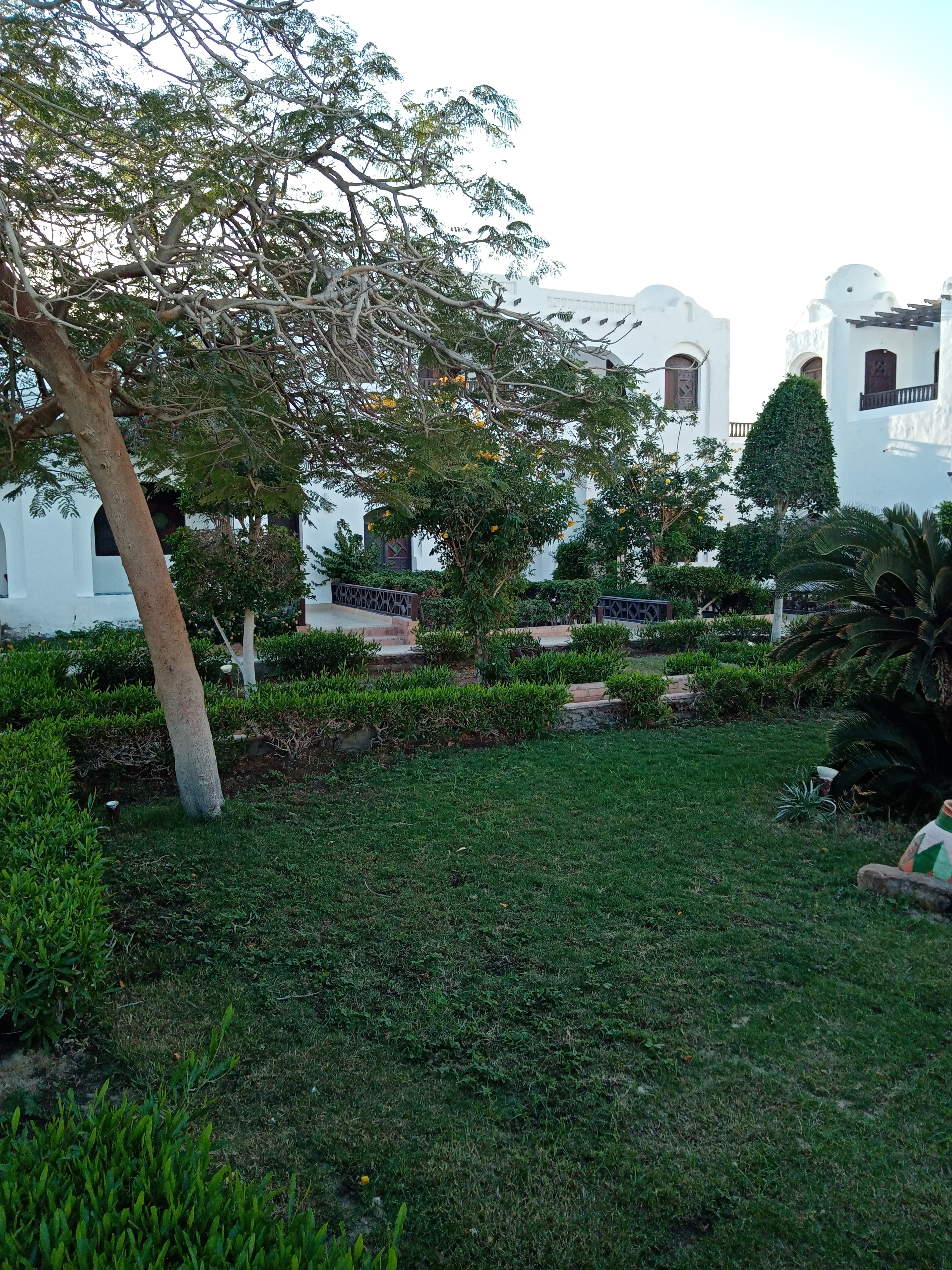 Фото Arabella Azur Resort