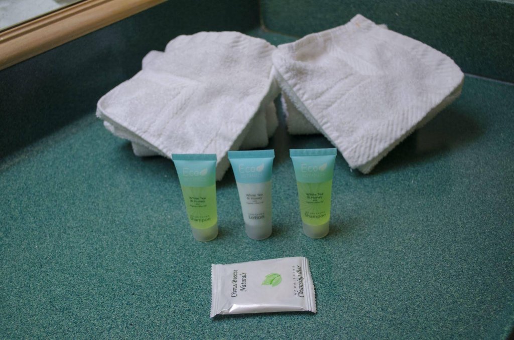 Фото Floridian Express Hotel