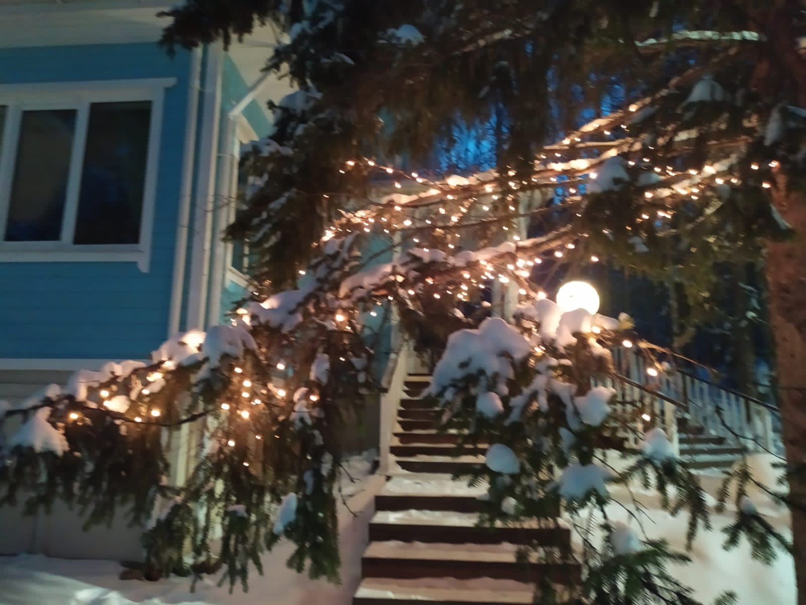 Фото Лесная сказка