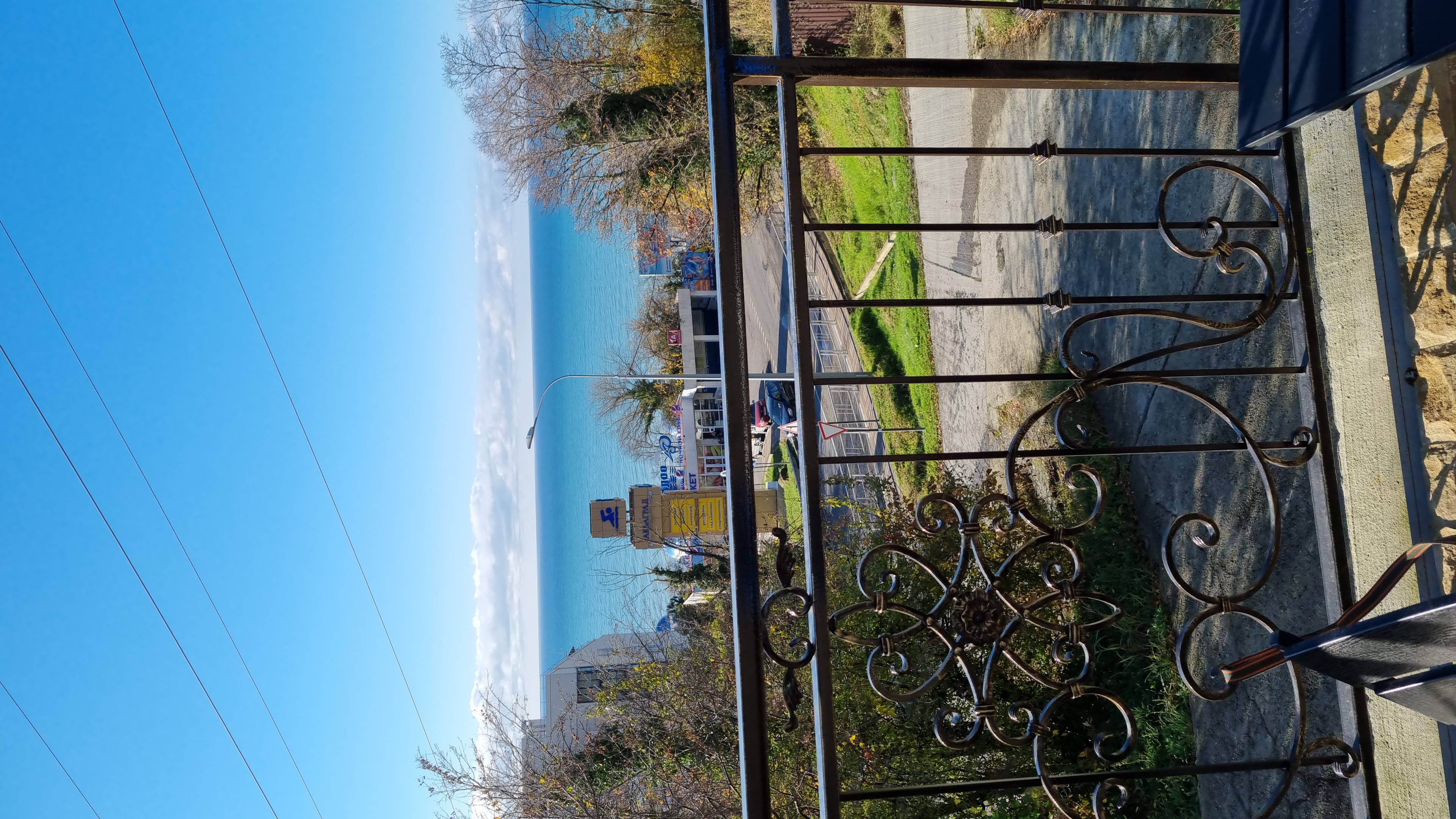 Фото Виллоо Боско