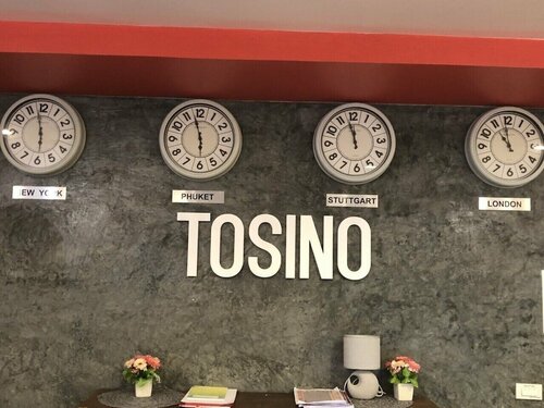 Гостиница Tosino Hotel