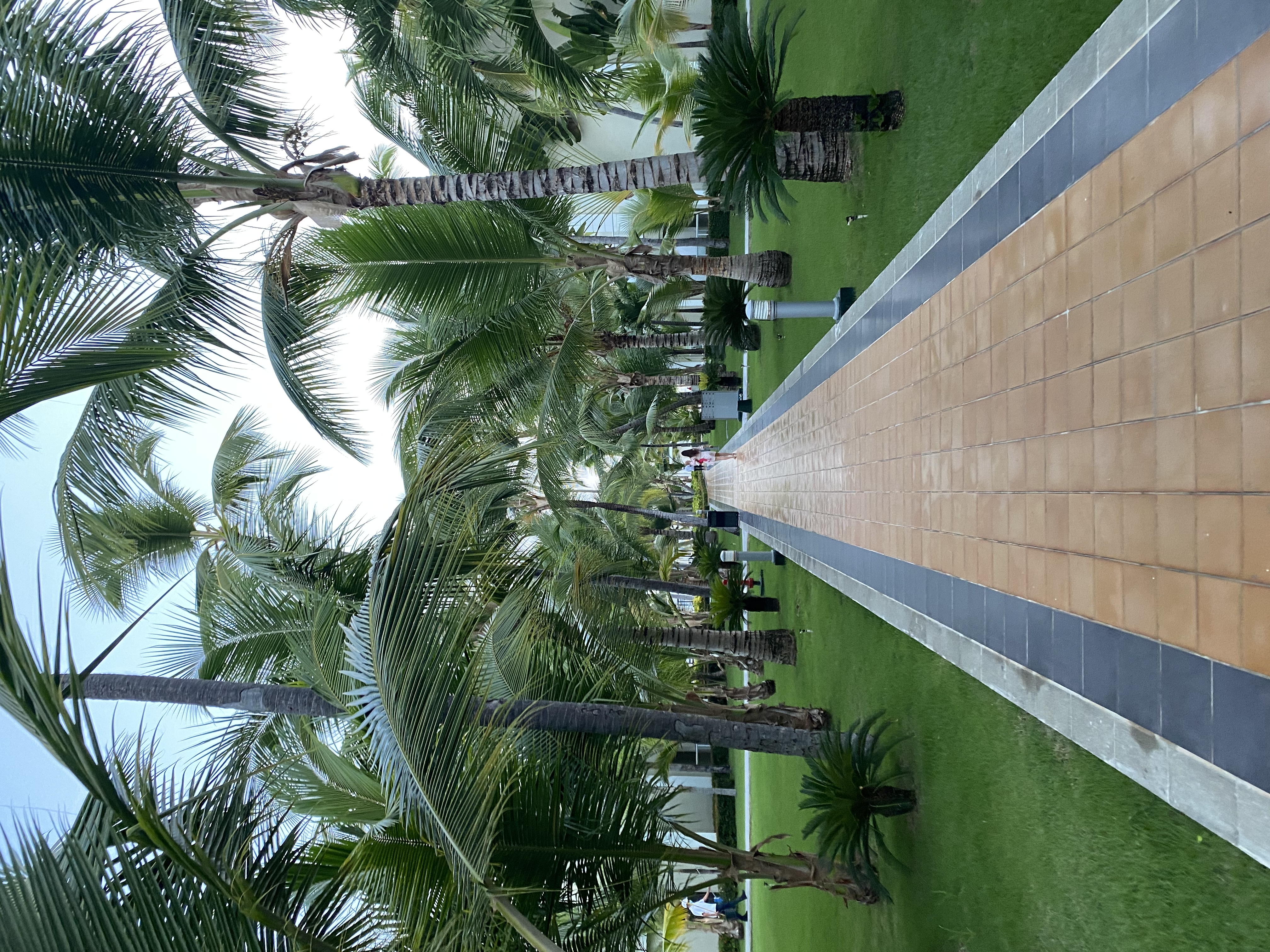 Фото Hotel Riu Palace Bavaro