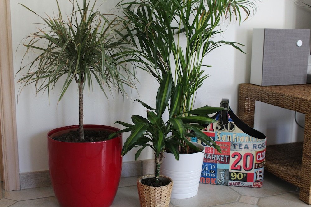 Фото B Guesthouse