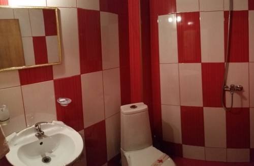 Фото Hotel Izvora