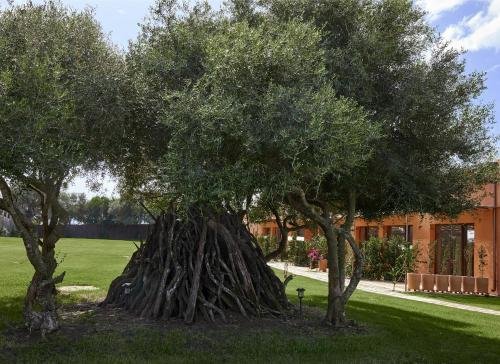 Фото Trafalgar Polo Club