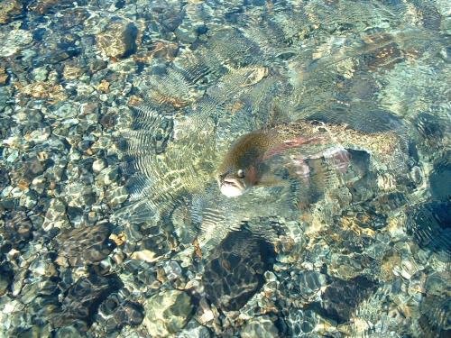 Фото Hotel Mi Casa