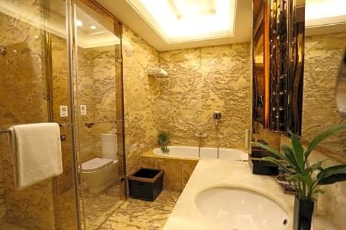 Фото Jin Jiang International Hotel Urumqi