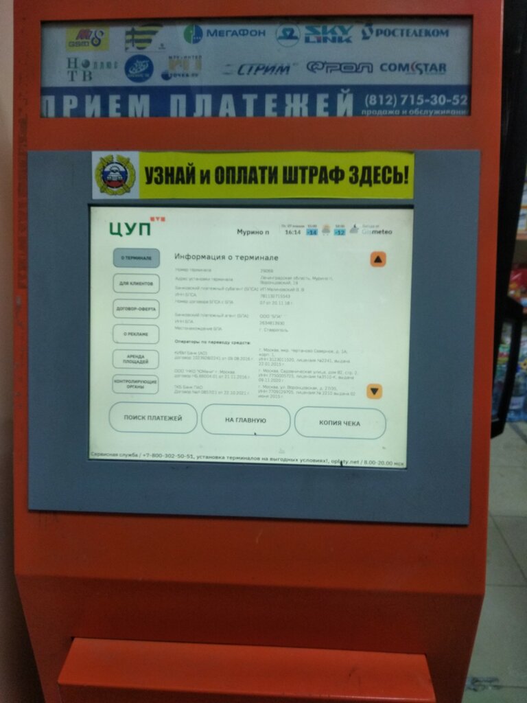 Payment terminal Цуп, платёжный терминал, Murino, photo