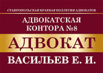 Advokat Vasil'ev E. I. (50 let VLKSM Street, 16А), attorney