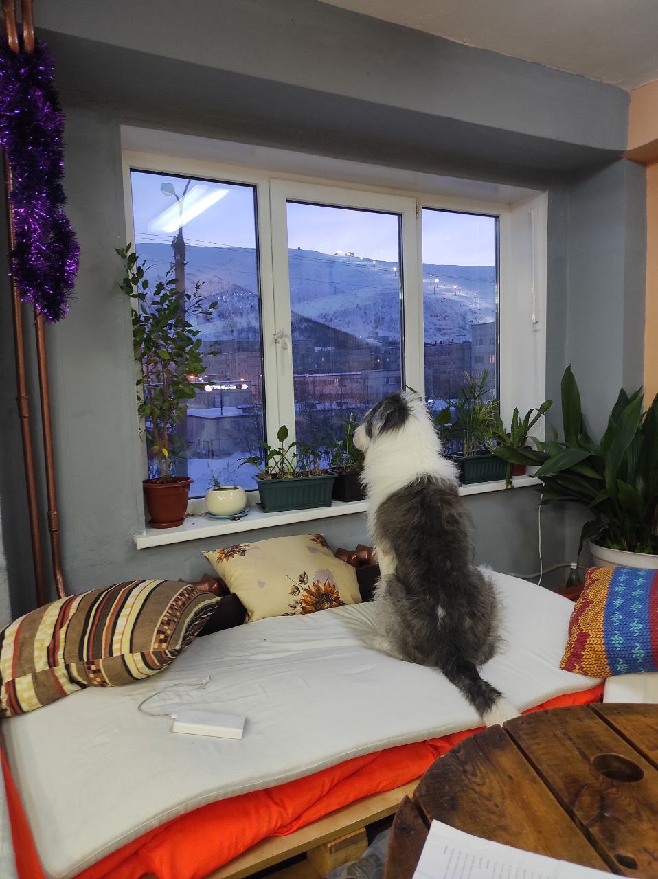 Фото Акка Книбекайзе