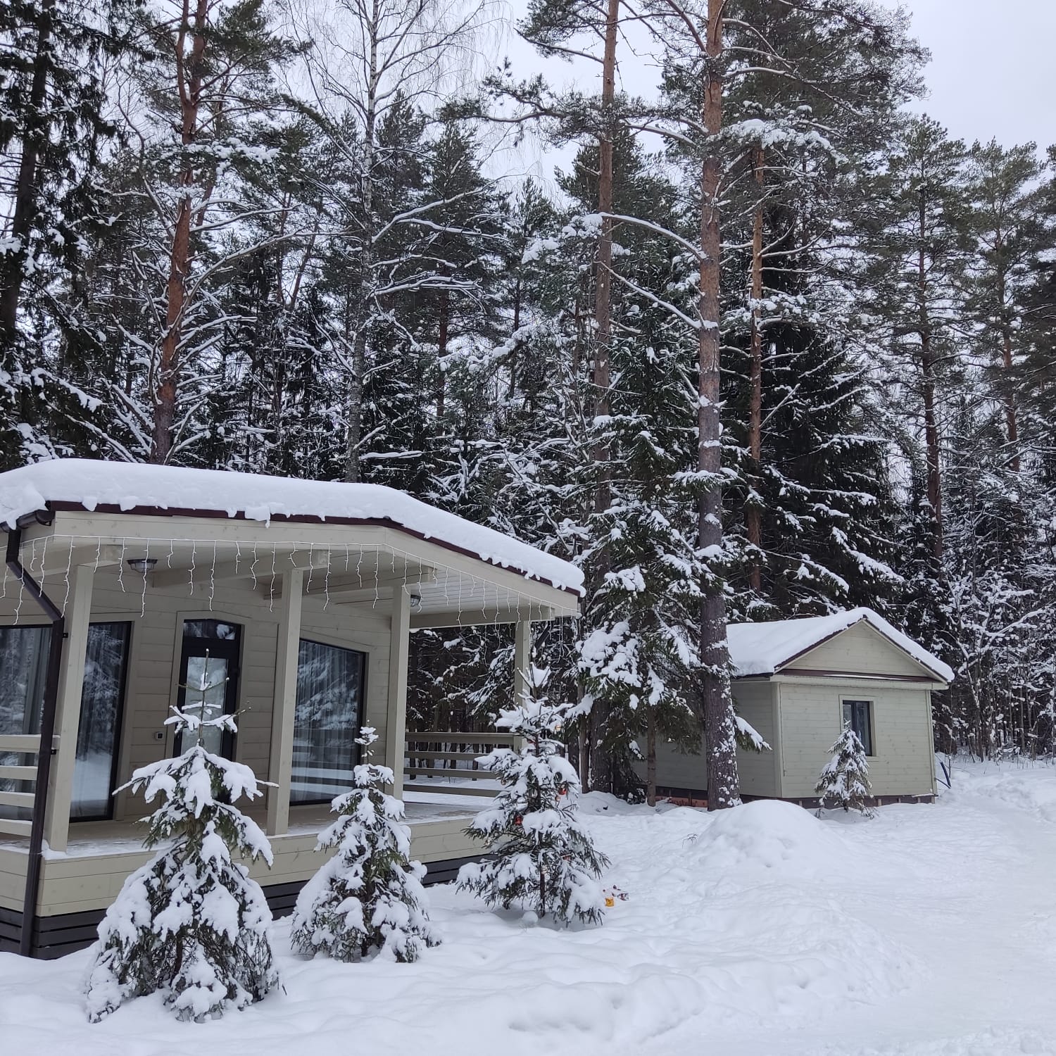 Фото Коттеджи в сосновом бору