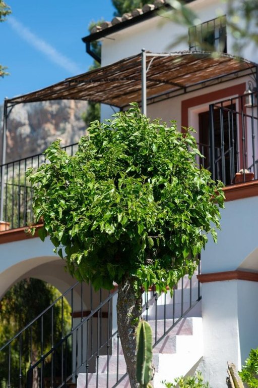 Фото El Arpa Finca Malaga