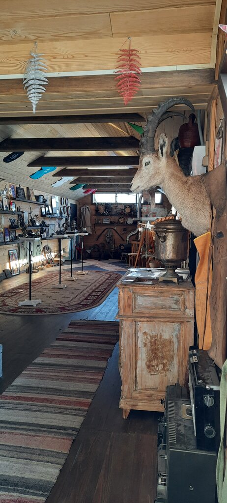 متحف Anna Biletskaya Museum ، ، صورة