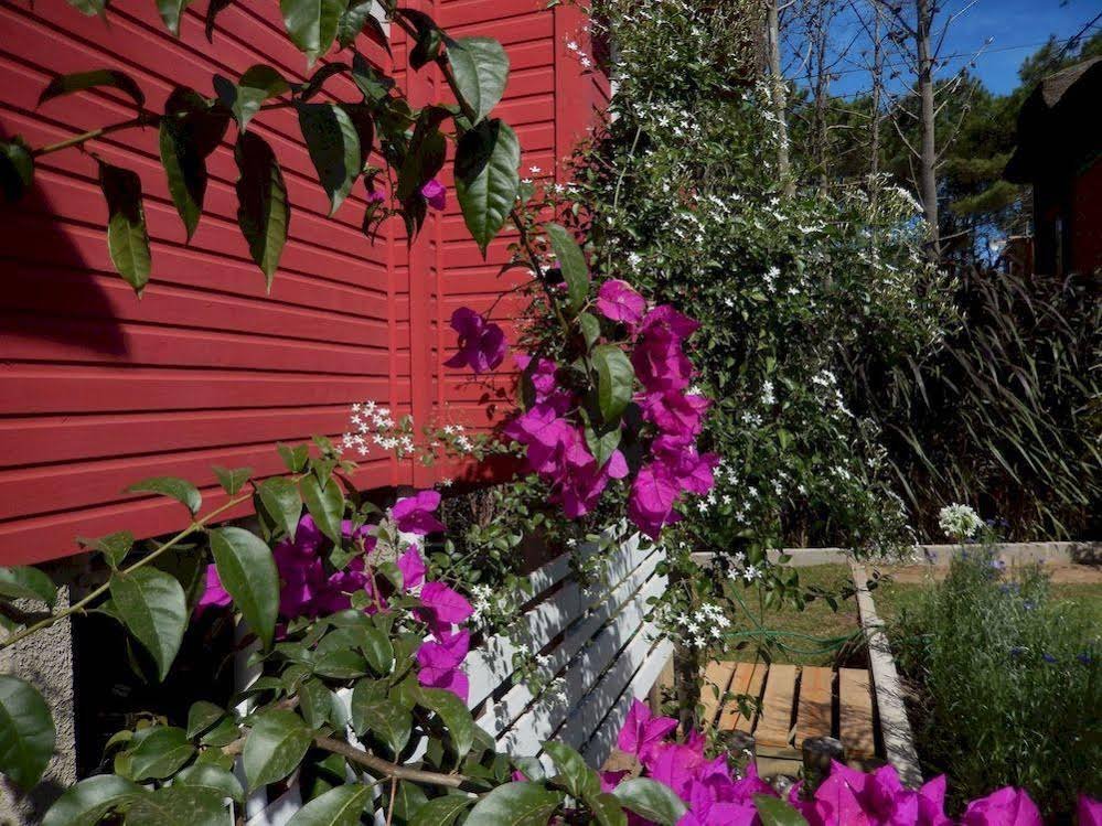 Фото Complejo de Cabañas Las Casquivanas