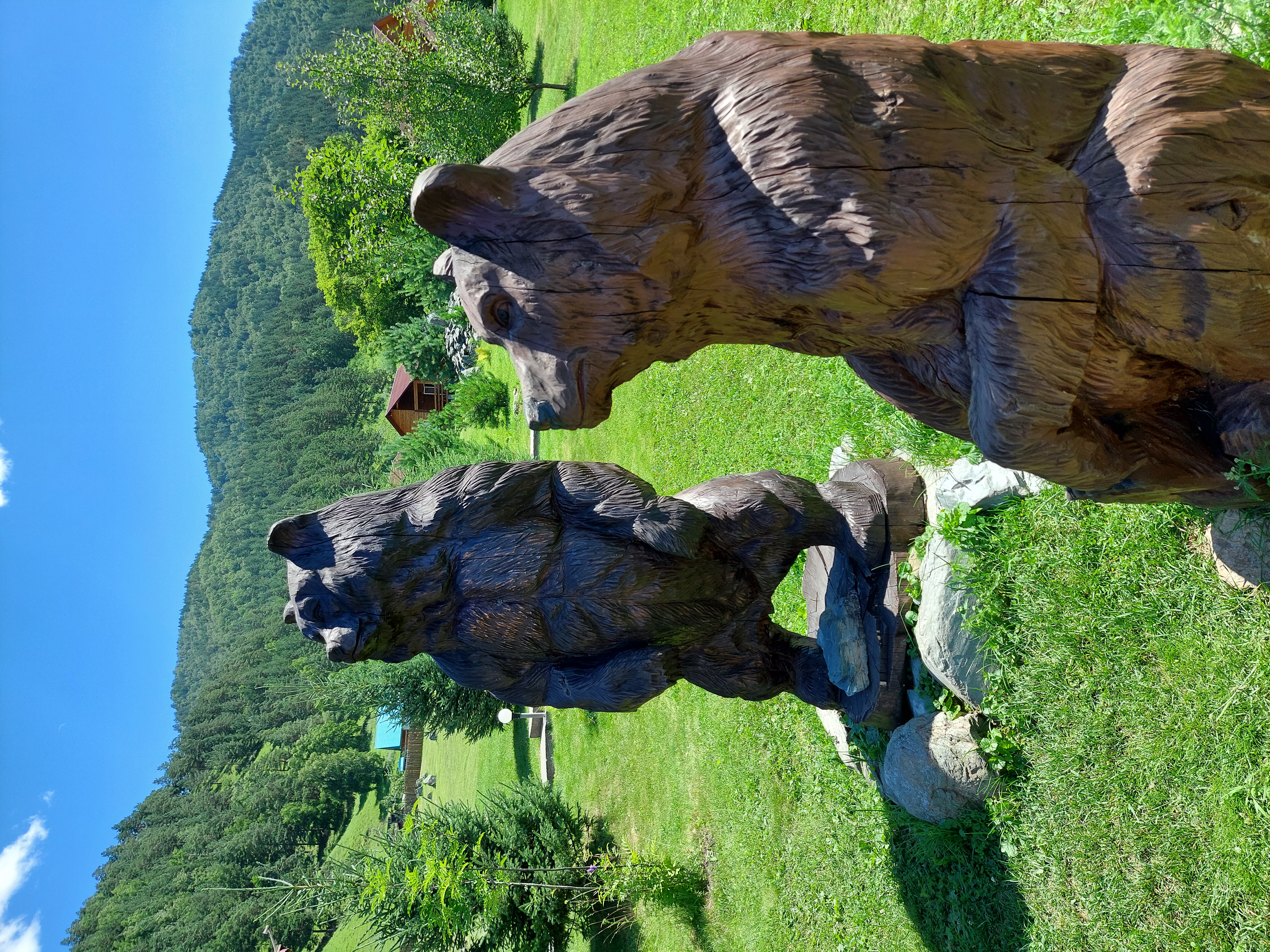 Фото Горный источник