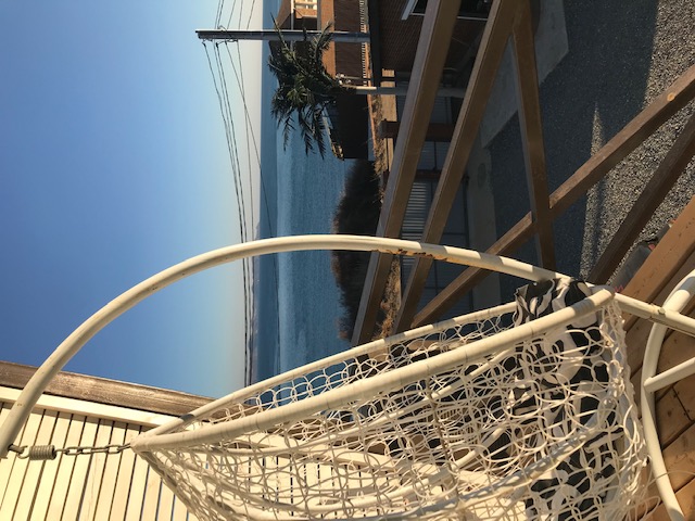 Фото Южанка