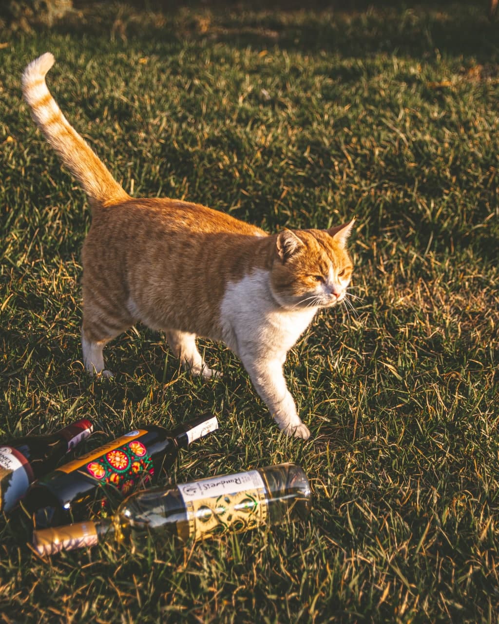 Фото Uzumfermer. uz