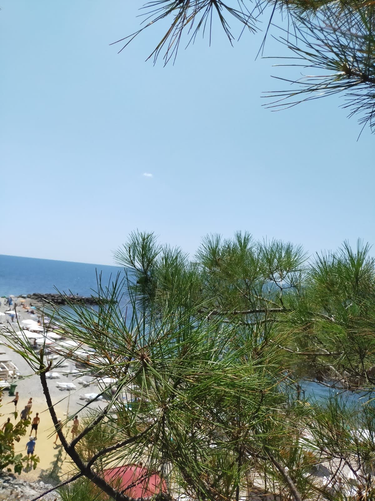 Фото Легенда