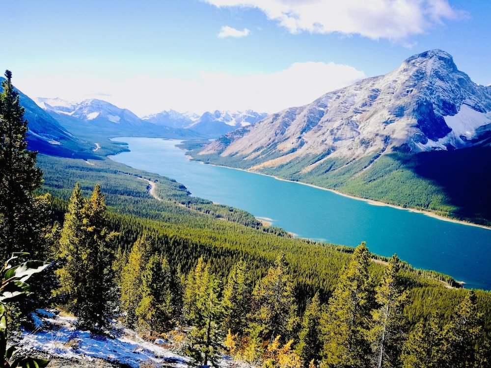 Фото 4 Bedrooms Suite - Group of Families