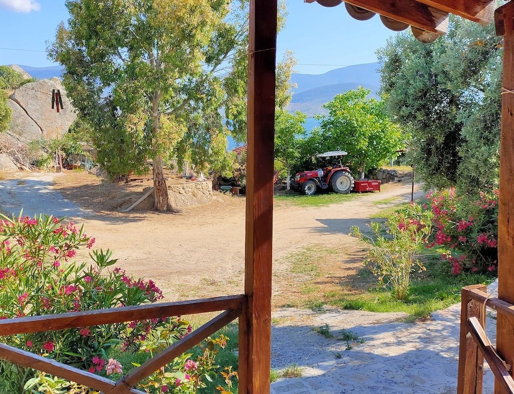 Фото Selenes Pansiyon