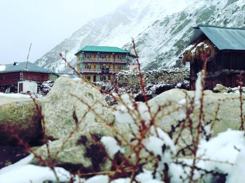 Фото The Wanderers Nest