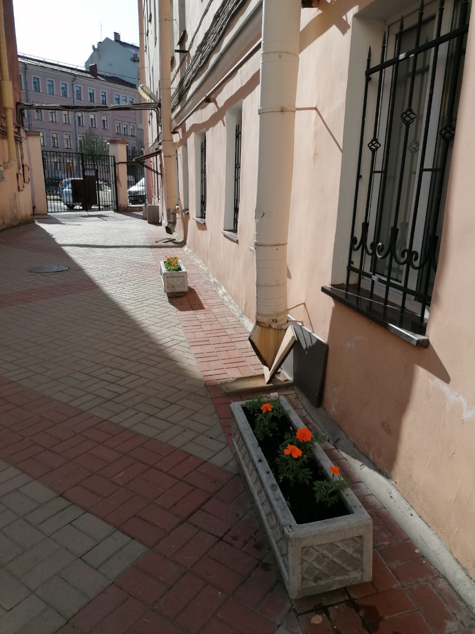 Фото У Львиного моста