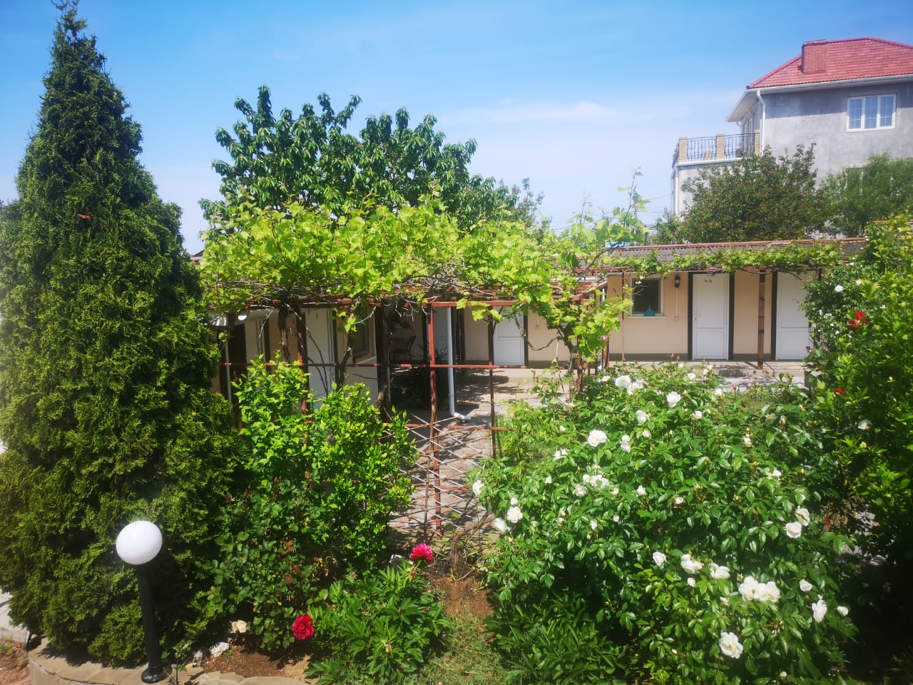 Фото Баунти